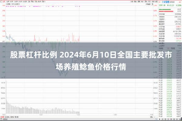 股票杠杆比例 2024年6月10日全国主要批发市场养殖鲶鱼价格行情