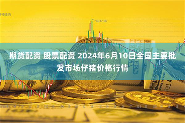 期货配资 股票配资 2024年6月10日全国主要批发市场仔猪价格行情