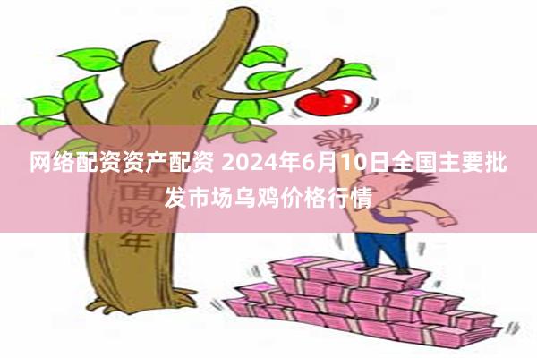 网络配资资产配资 2024年6月10日全国主要批发市场乌鸡价格行情