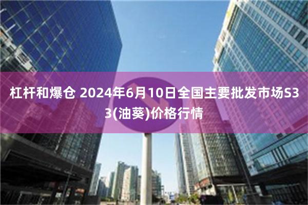 杠杆和爆仓 2024年6月10日全国主要批发市场S33(油葵)价格行情