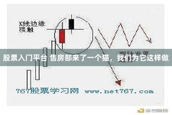 股票入门平台 售房部来了一个猫，我们为它这样做