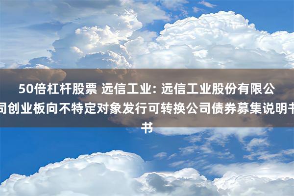 50倍杠杆股票 远信工业: 远信工业股份有限公司创业板向不特定对象发行可转换公司债券募集说明书