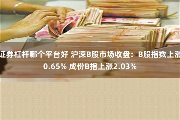 证券杠杆哪个平台好 沪深B股市场收盘：B股指数上涨0.65% 成份B指上涨2.03%