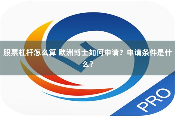 股票杠杆怎么算 欧洲博士如何申请？申请条件是什么？