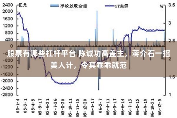 股票有哪些杠杆平台 陈诚功高盖主，蒋介石一招美人计，令其乖乖就范