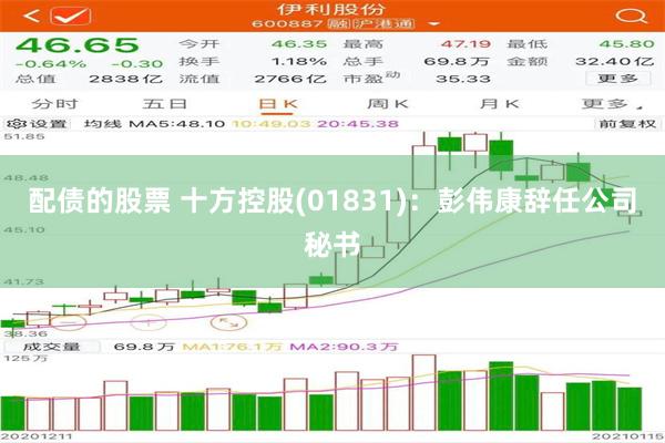 配债的股票 十方控股(01831)：彭伟康辞任公司秘书