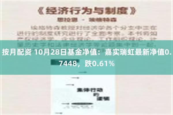 按月配资 10月28日基金净值：嘉实瑞虹最新净值0.7448，跌0.61%