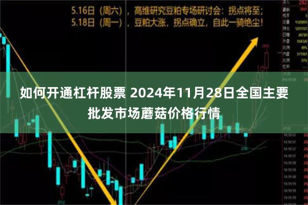 如何开通杠杆股票 2024年11月28日全国主要批发市场蘑菇价格行情