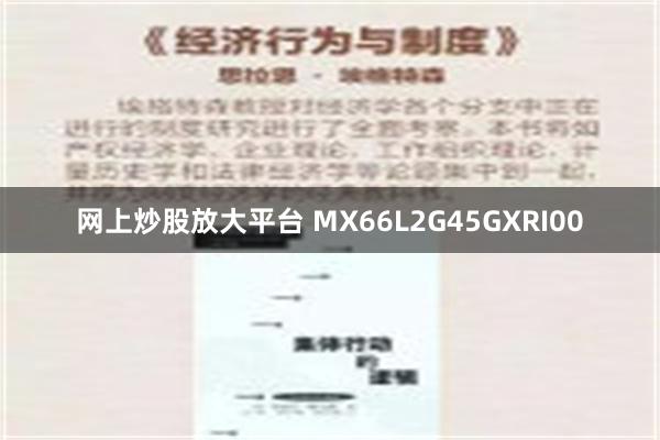 网上炒股放大平台 MX66L2G45GXRI00